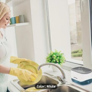 Soap Dispenser With Sponge Holder
