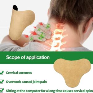 10 Pcs Pain Relief Vertebral Patch (DML P00858)